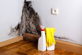 Best Residential Mold Inspection & Testing in USA